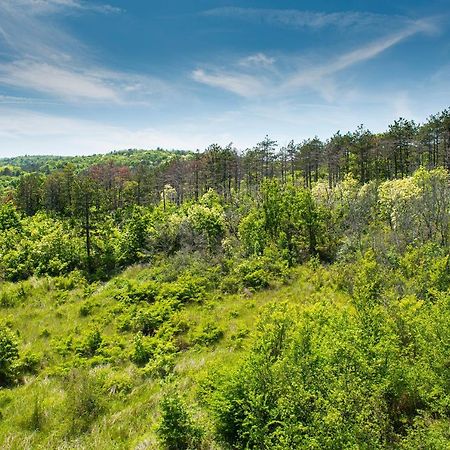Green Life Beach Resort Apartment Созополь Екстер'єр фото